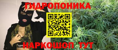 дмт Кандалакша
