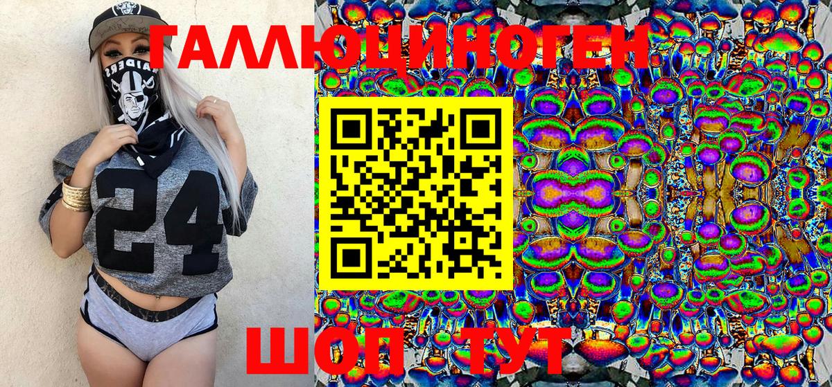 Псилоцибиновые грибы Psilocybe Кохма